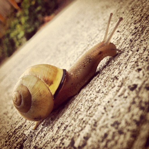 just creeping along...